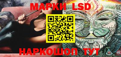 амф Донской