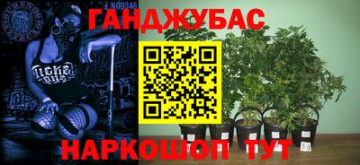 амф Донской